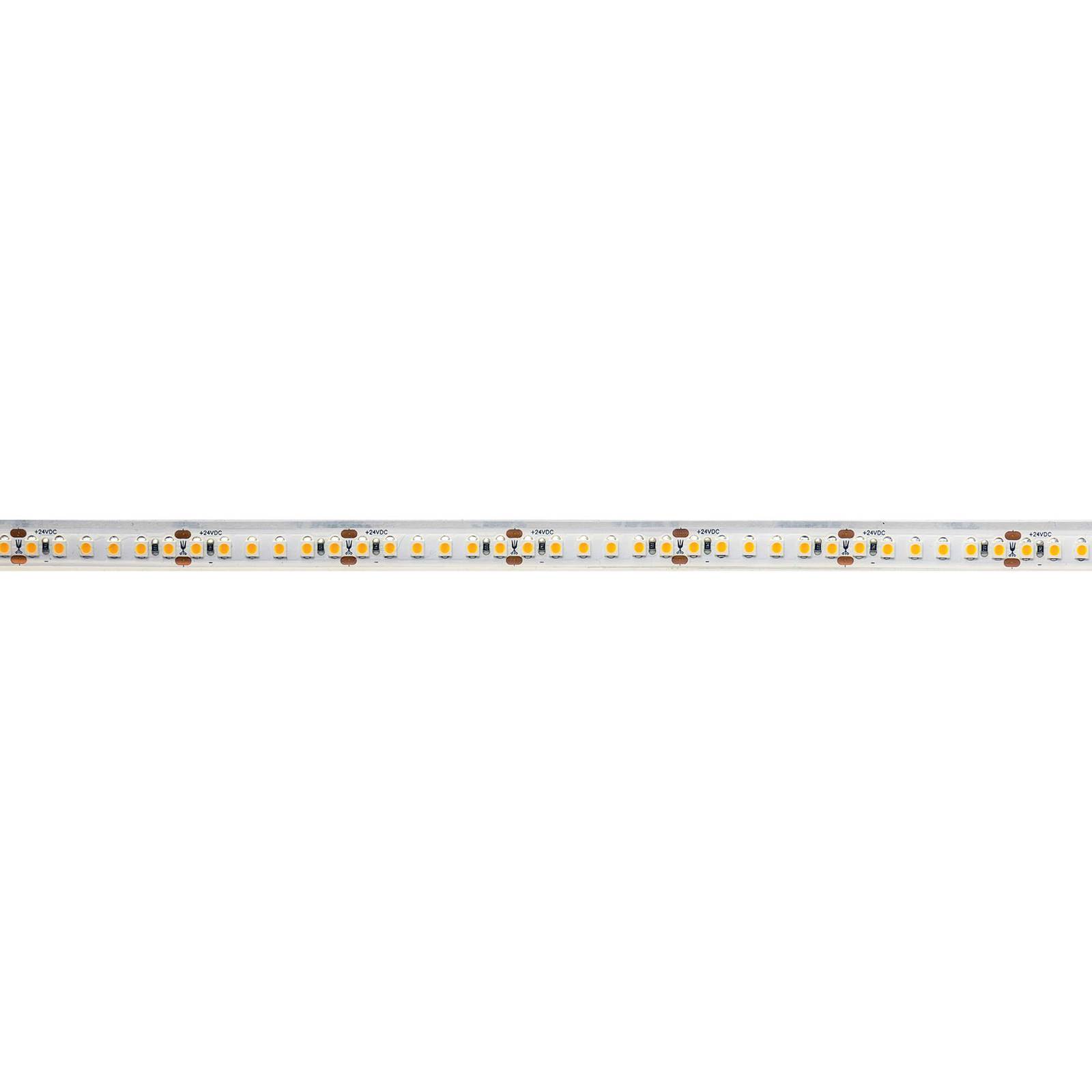 Deko-Light Flexibler LED-Strip, 55 W, 500x1,1x0,44cm, 2.700 K