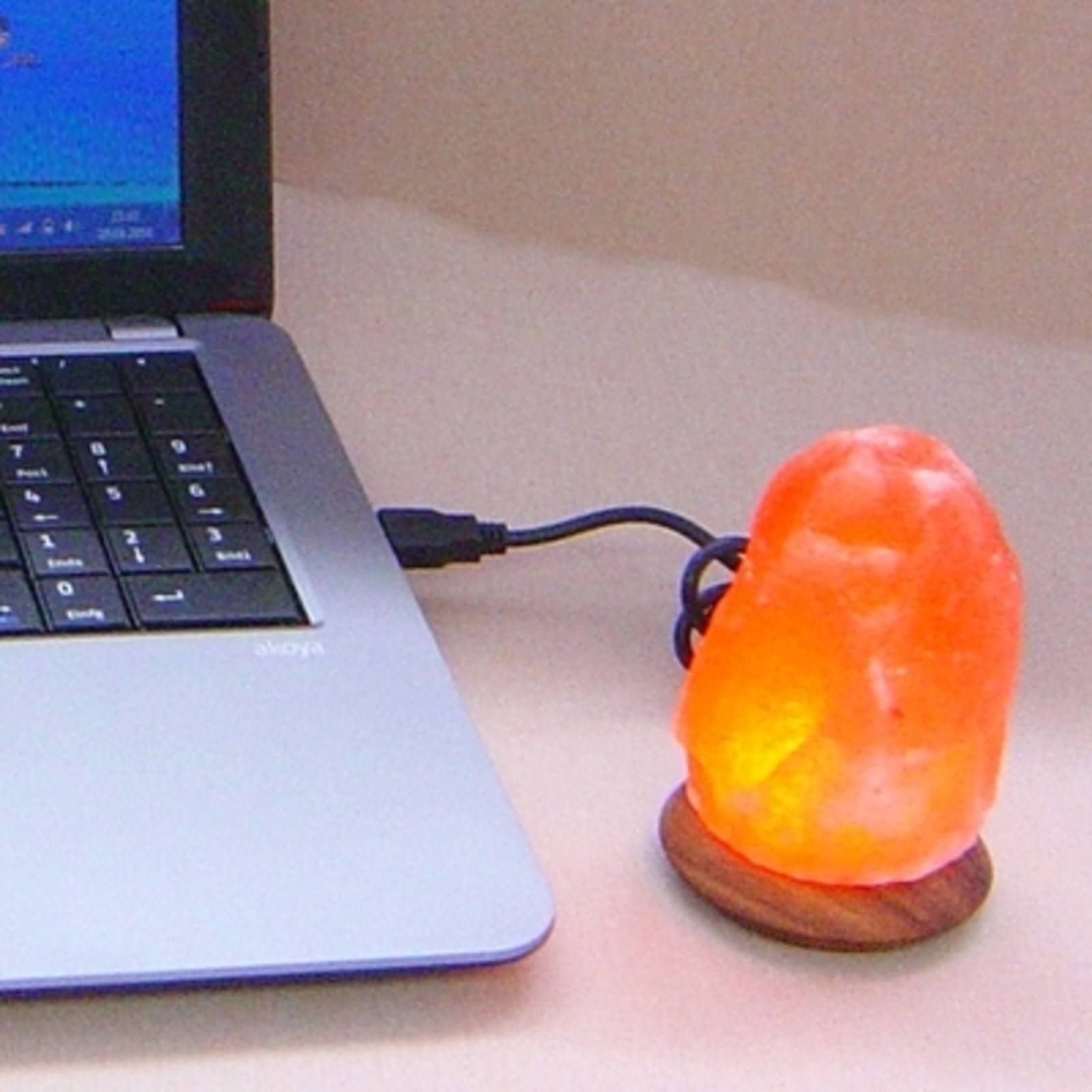 Wagner Life LED-Salzleuchte Compus mit USB für Computer&Laptop