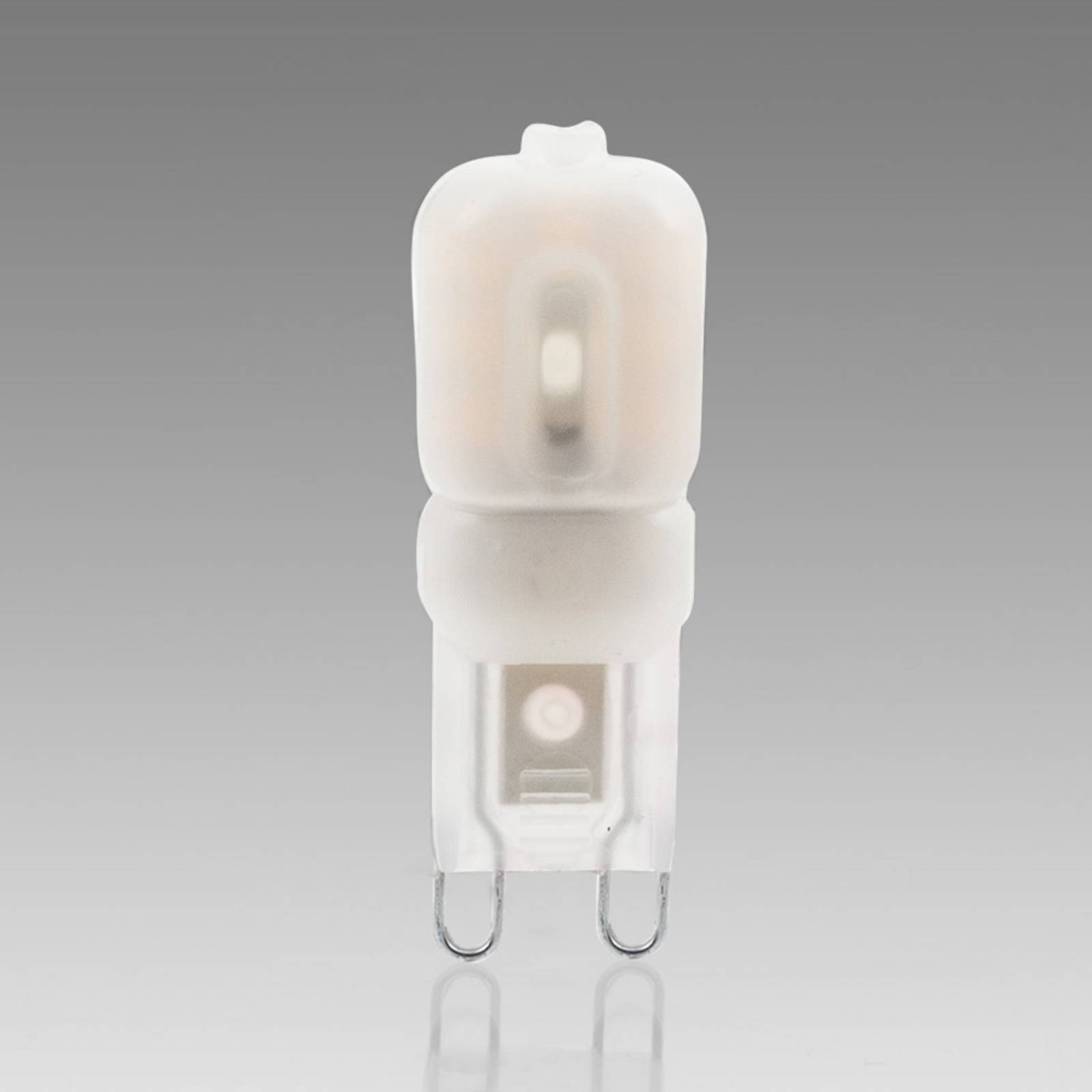 Lindby G9 2,5W 830 LED-Stiftsockellampe, opal