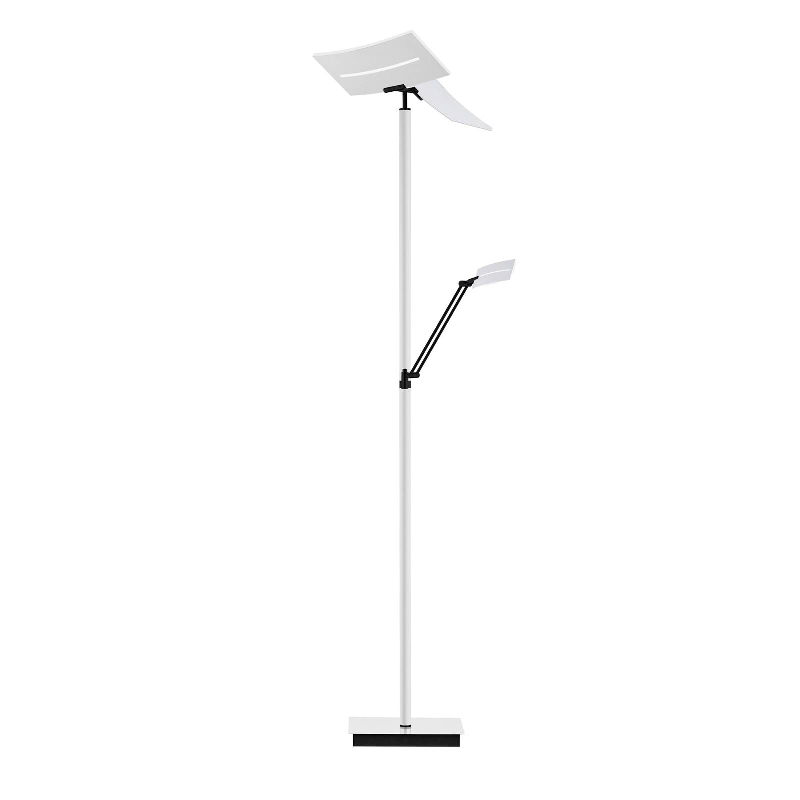 HELL LED-Stehlampe Evolo CCT mit Leselicht weiß/schwarz