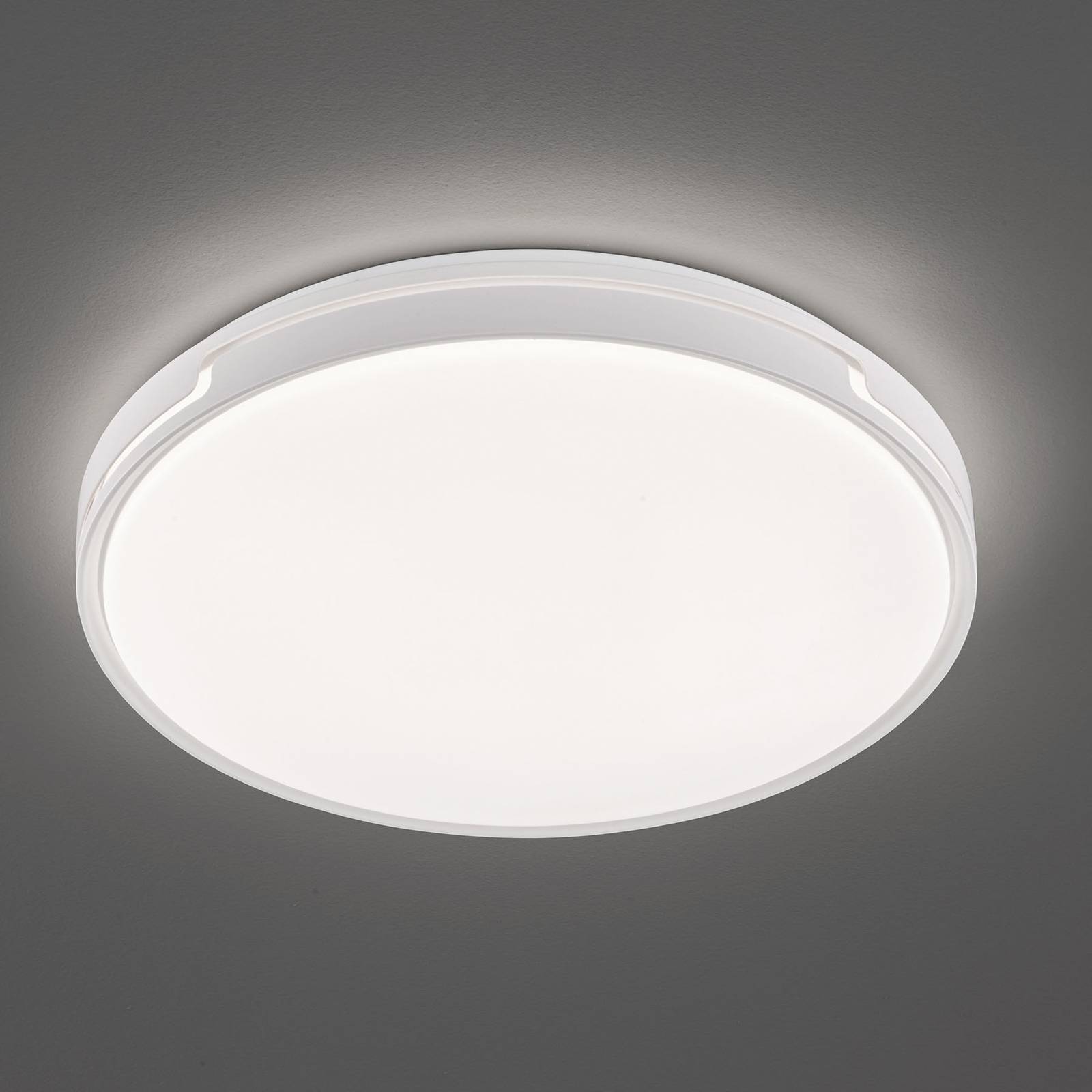 FISCHER & HONSEL LED-Deckenlampe Tex BS mit Bewegungsmelder Ø 49 cm