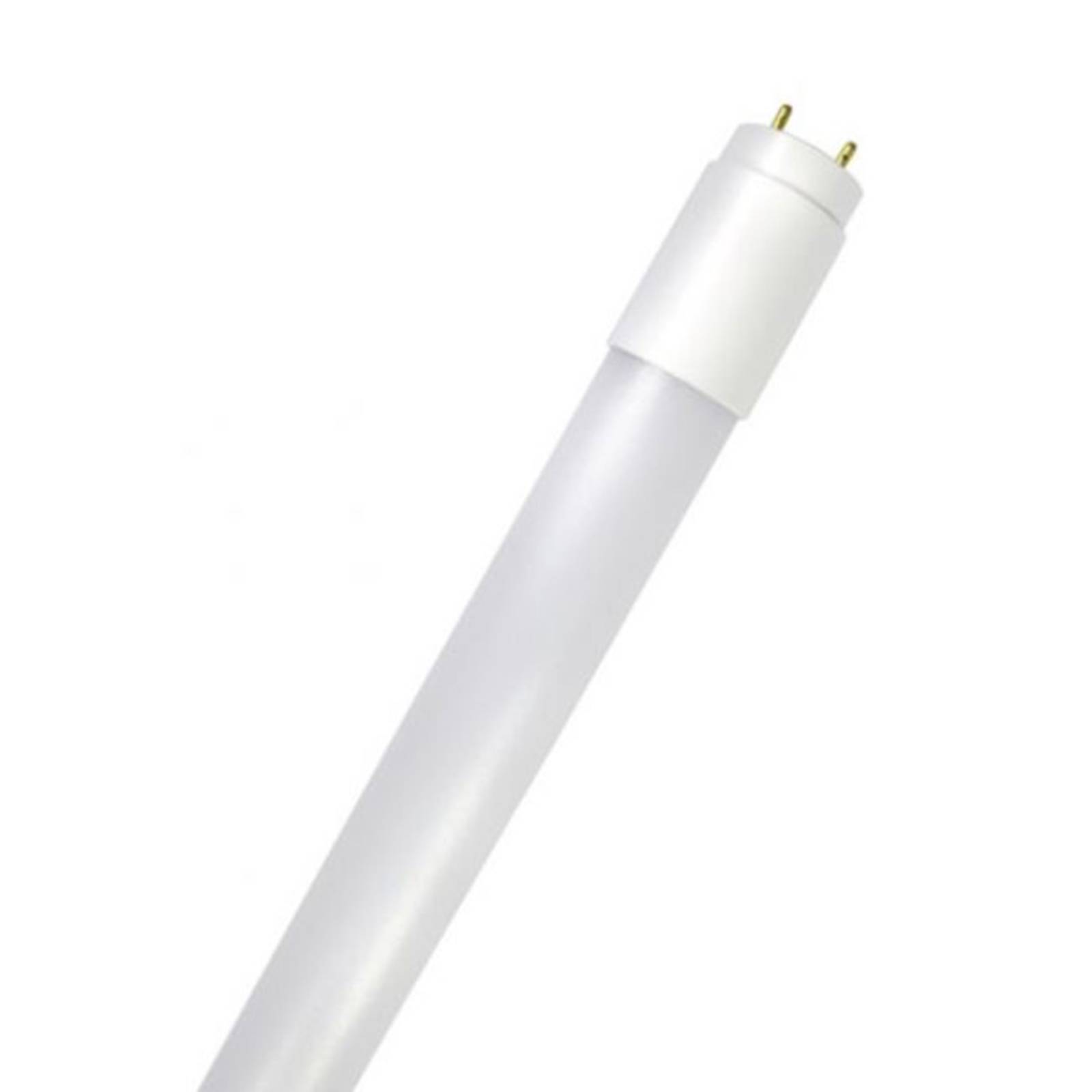 Bioledex LED-Röhre GoLeaf T8 G13 Vollspektrum 8W 60cm