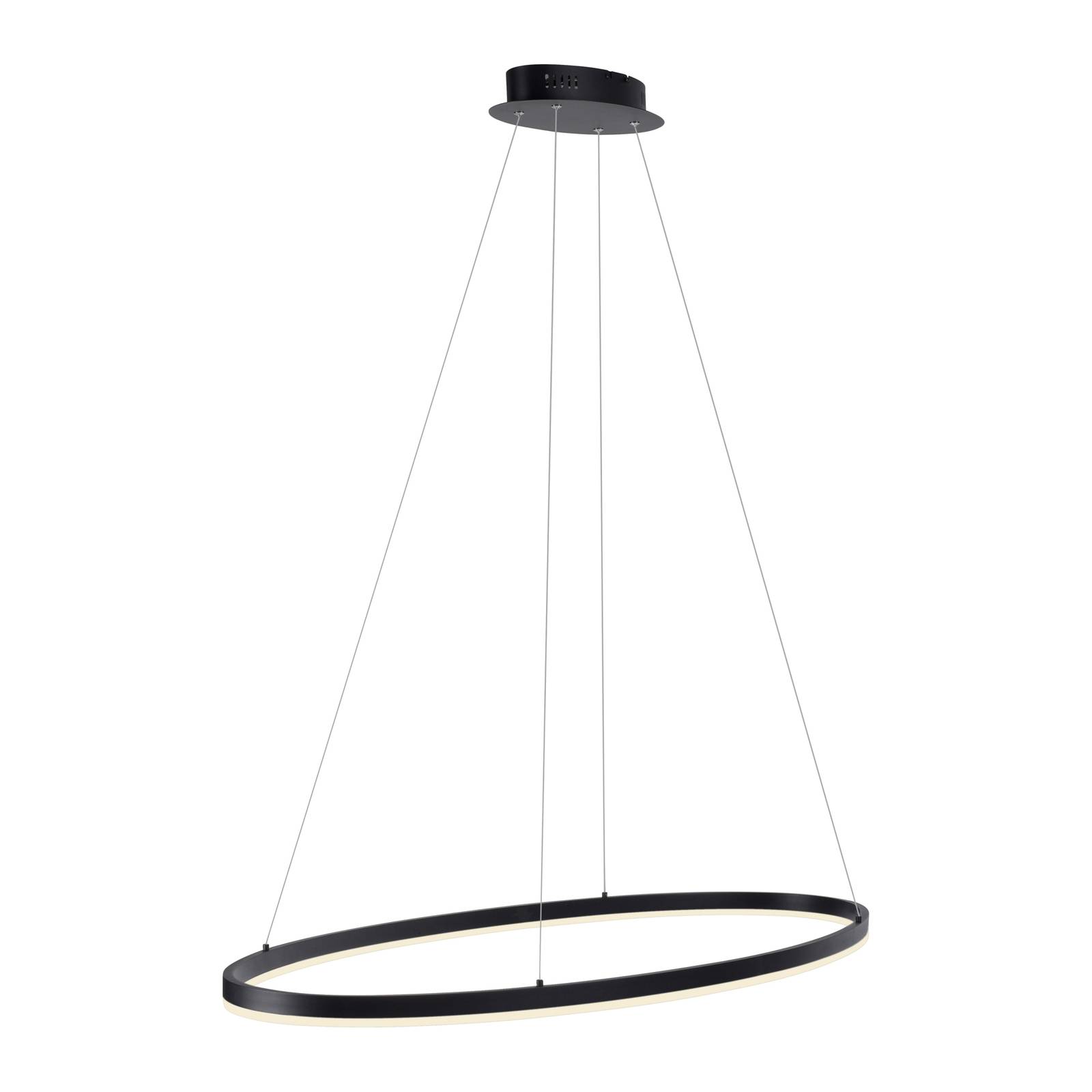 Paul Neuhaus Titus LED-Hängeleuchte, oval 118x56cm