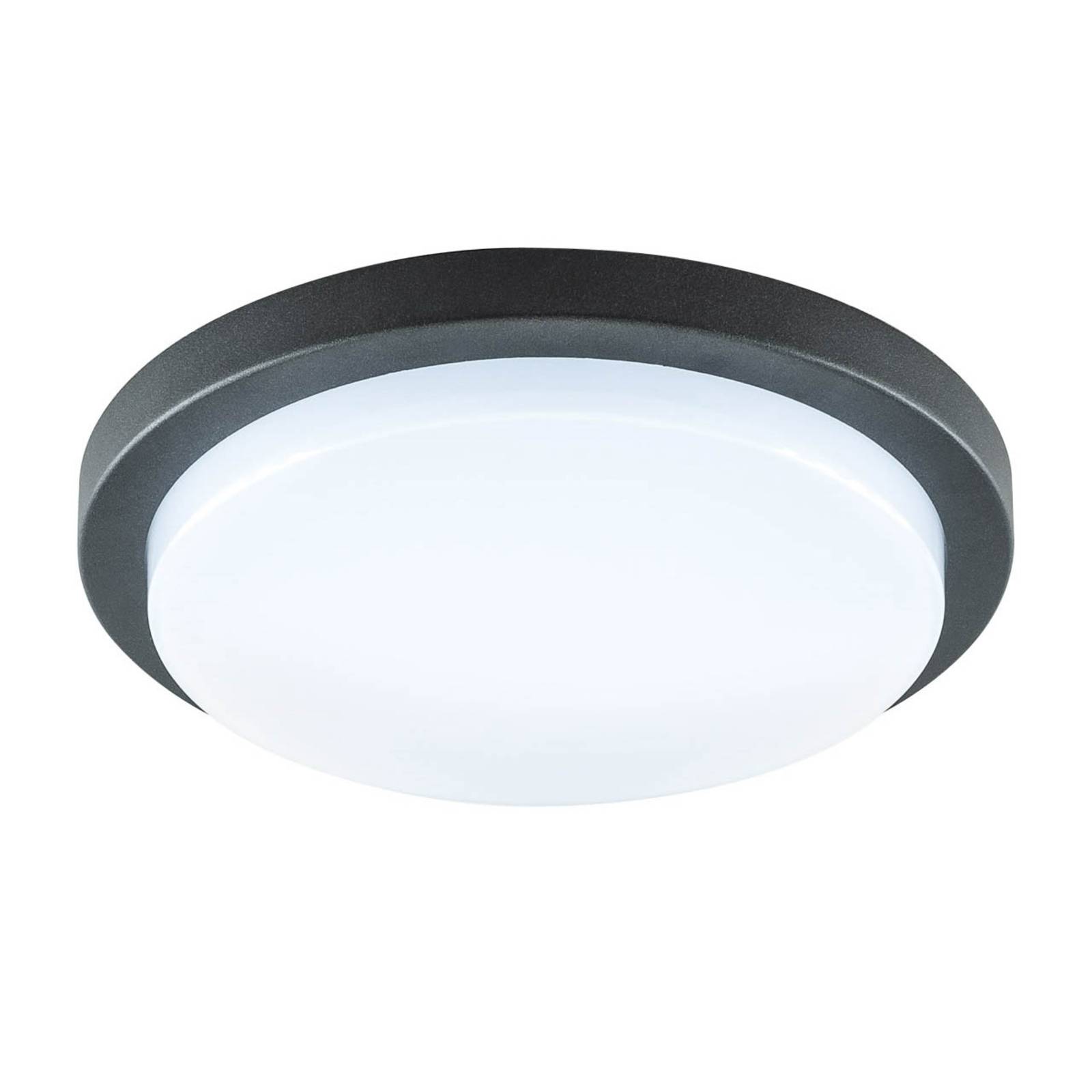 EVN Tectum LED-Außendeckenleuchte rund, Ø 24,6 cm