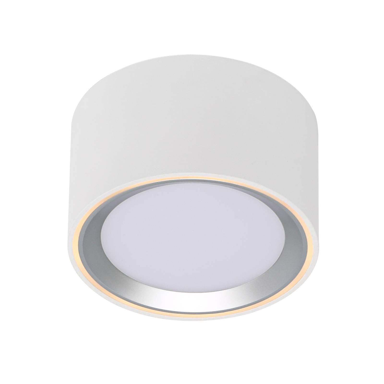 Nordlux LED-Downlight Fallon 3-step-dim, weiß/stahl
