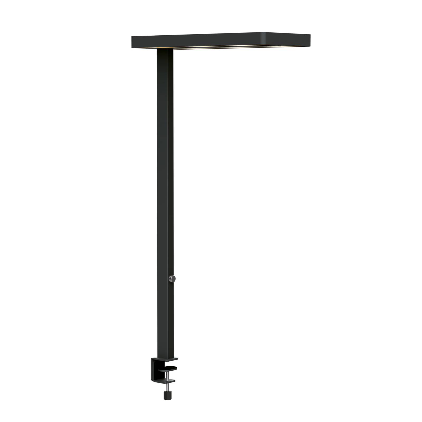 LED-Tischleuchte MAULjaval, schwarz, Klemmfuß