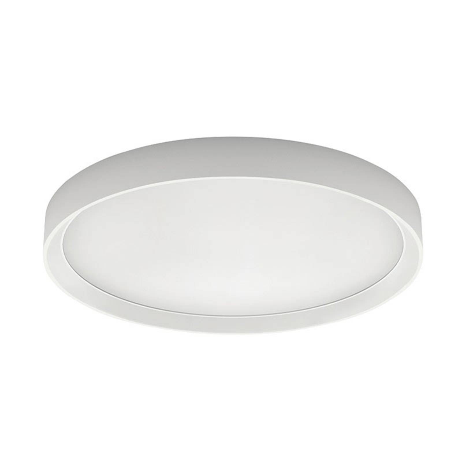 Linea Light LED-Deckenleuchte Tara R, rund, Ø 51 cm