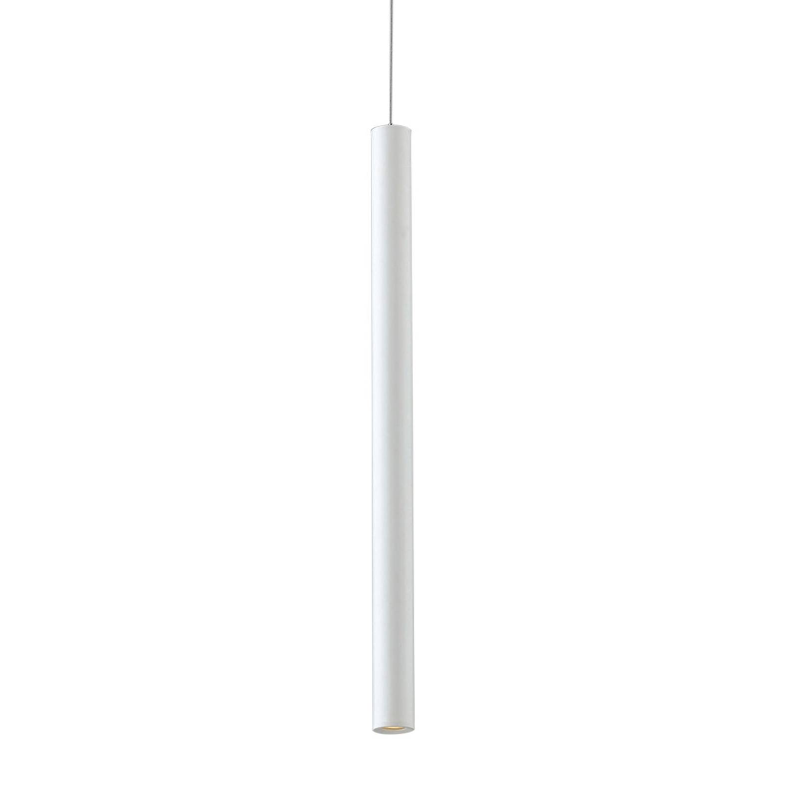 Eco-Light LED-Schienen-Pendellampe Oboe 3,5W 3.000K weiß