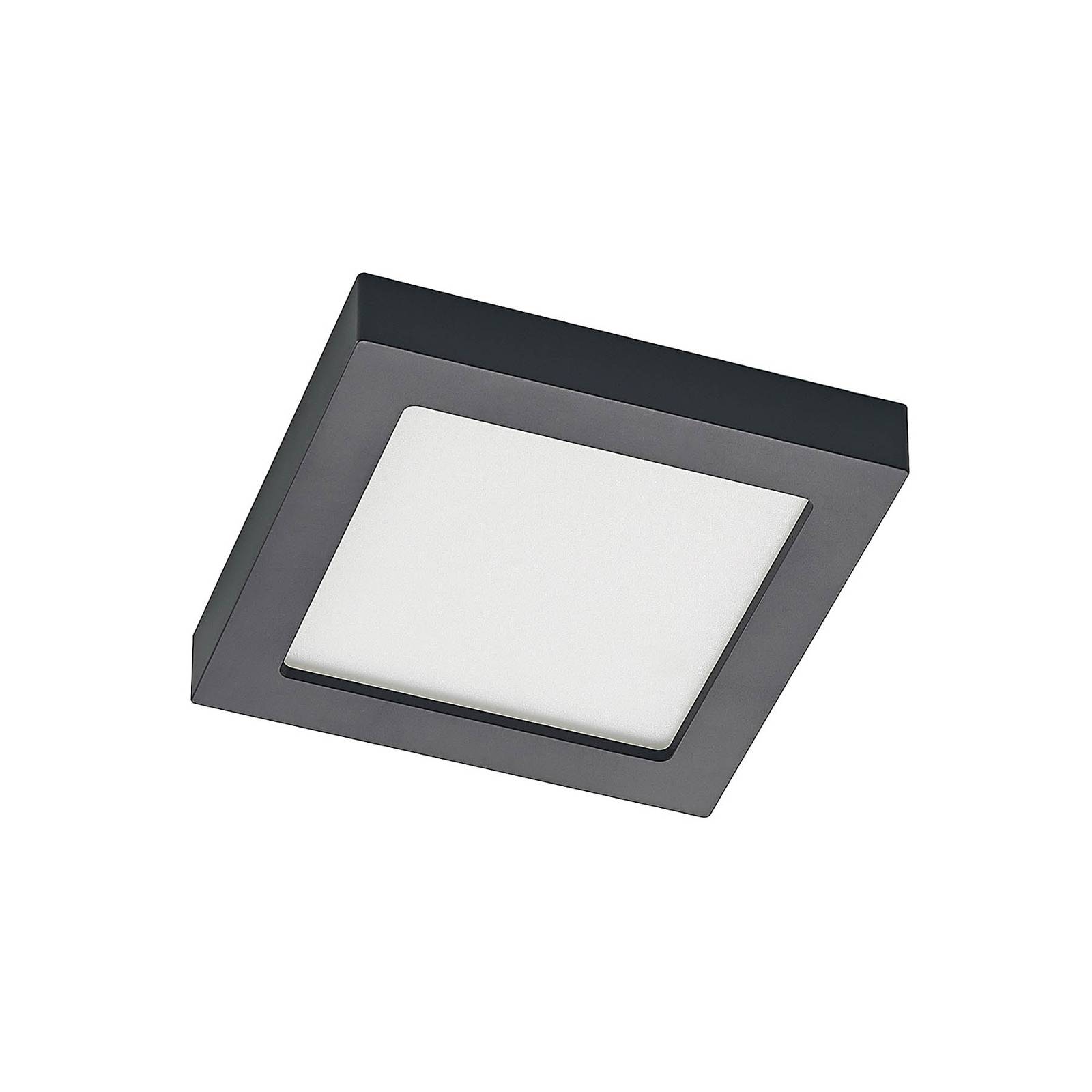 Prios Alette LED-Deckenlampe, schwarz, CCT, 18 W