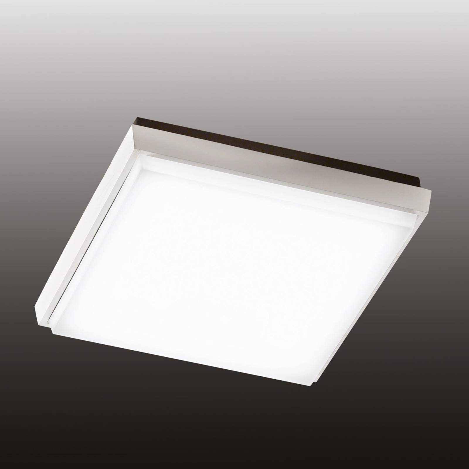 Fabas Luce LED-Außendeckenleuchte Desdy, 24x24 cm, weiß