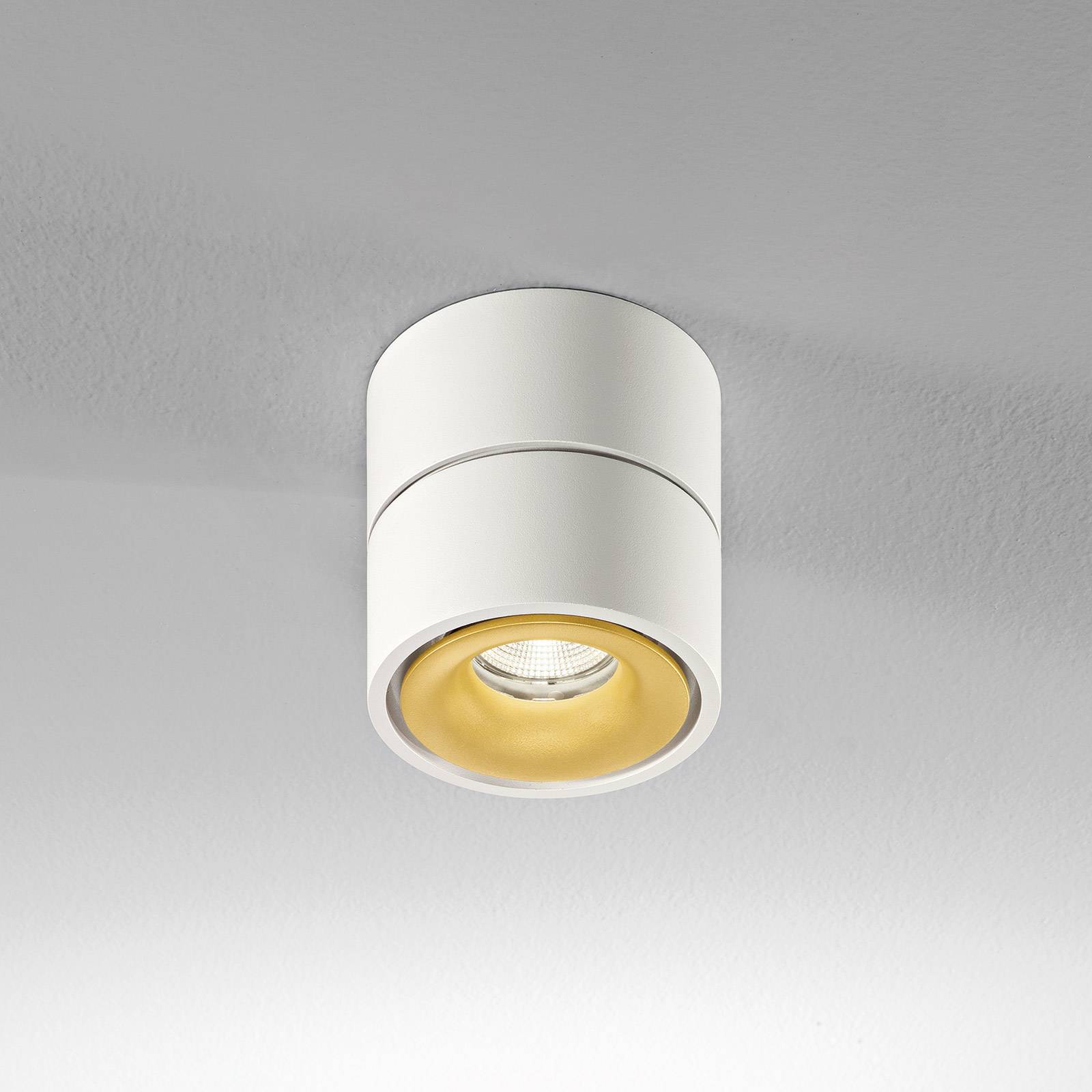 Egger Licht Egger Clippo LED-Deckenspot dim-to-warm weiß/gold