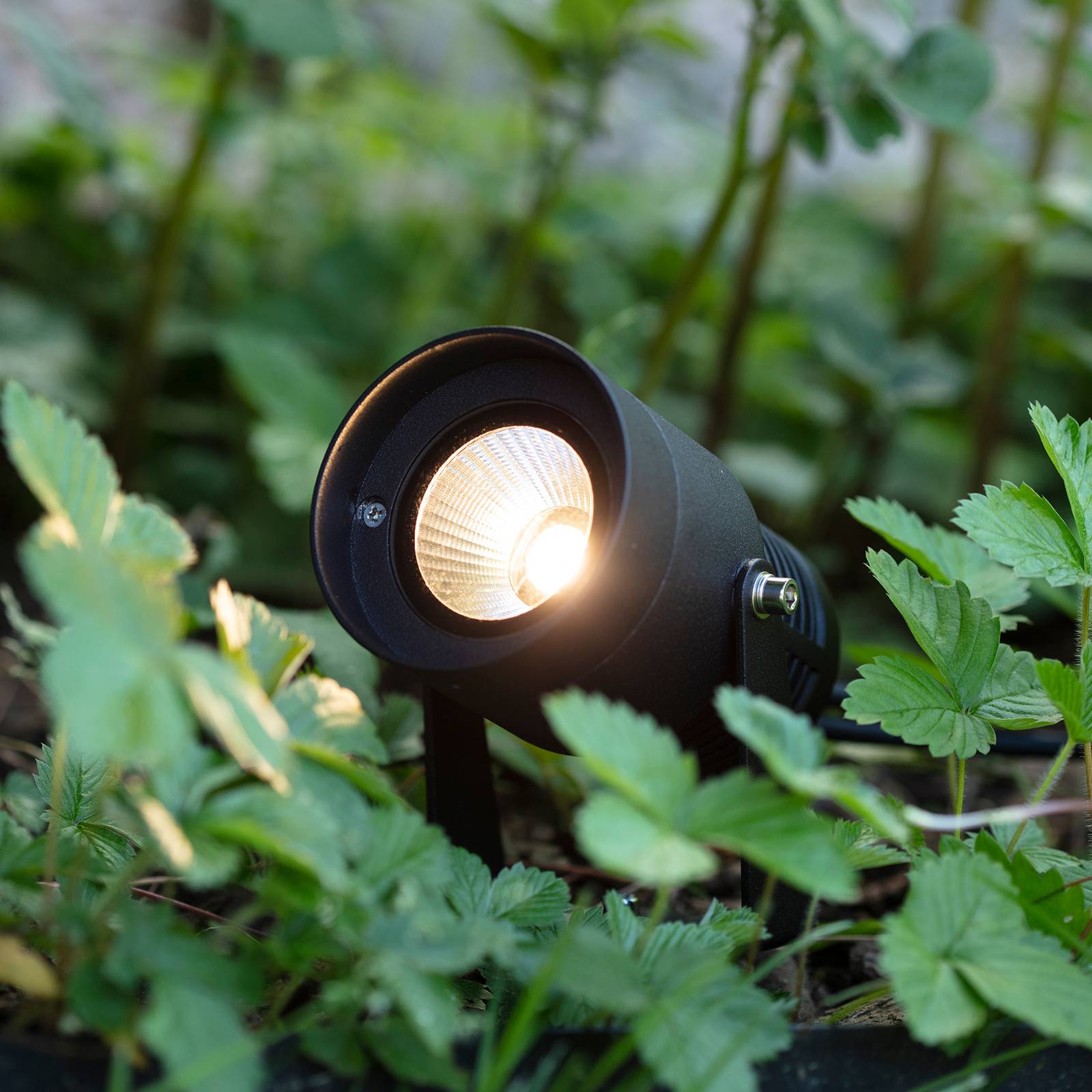 Markslöjd Garden 24 LED-Spotlight, schwarz, 6 Watt