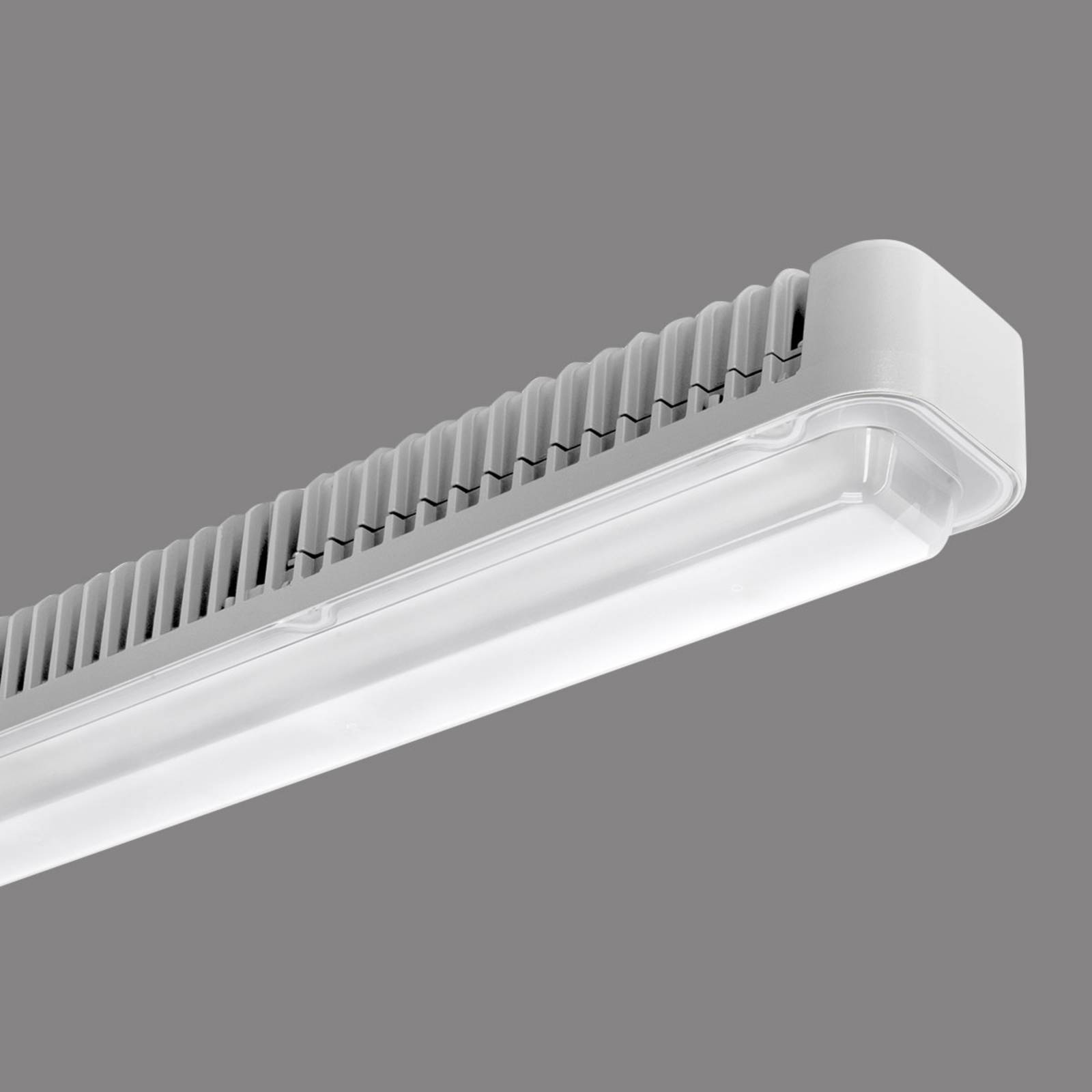 Performance in Lighting LED-Deckenlampe Koa Line STR/PC S/EW 112W